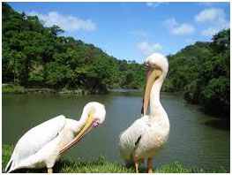 Environmental Protection